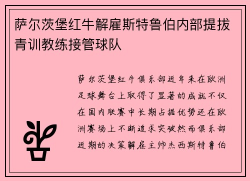 萨尔茨堡红牛解雇斯特鲁伯内部提拔青训教练接管球队